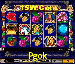 Sistemas de Segurança Pgok