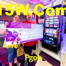 Platform Technology Pgok